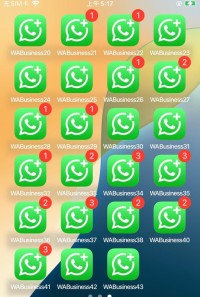 whatsapp安卓下载完整指南从官方渠道到安装设置的注意事项