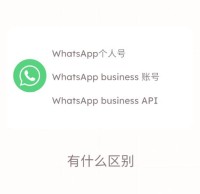如何安全高效地使用WhatsApp进行日常沟通与团队协作
