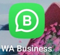 微信 line whatsapp三款即时通讯工具的功能差异与使用场景分析
