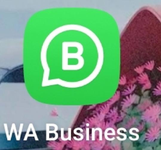 微信 line whatsapp三款即时通讯工具的功能差异与使用场景分析